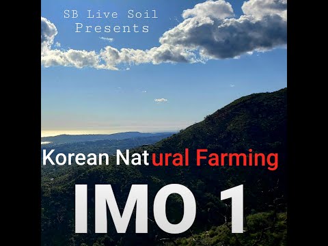 How To KNF ( Korean Natural Farming and it’s Organic Inputs )  : IMO 1 Pt. 1