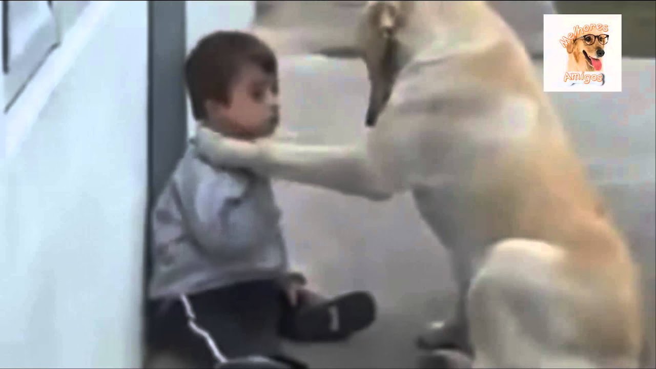 quanto mais eu conheço as pessoas mais amo meu cachorro