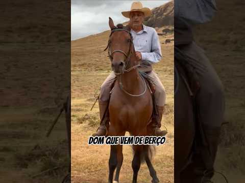 Mr. Beto Itagiba, an icon of the knights 🔰✔️