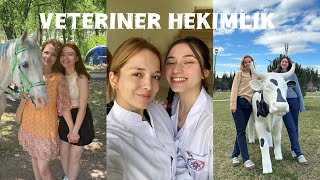 Uludağ Üniversitesi Veteriner Fakültesi 🐾 | Tercih Etmeden İzle! | Tüm