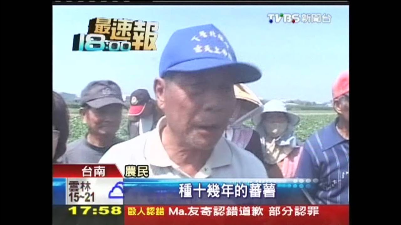 怪天氣惹禍? 地瓜裂了農民叫苦!
