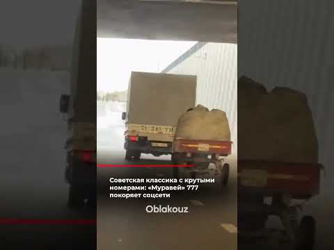 На дорогах Узбекистана заметили настоящую легенду — советский грузовой мотороллер «Муравей»