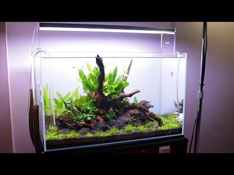 WaterBox Clear 16 | 1 Month Update