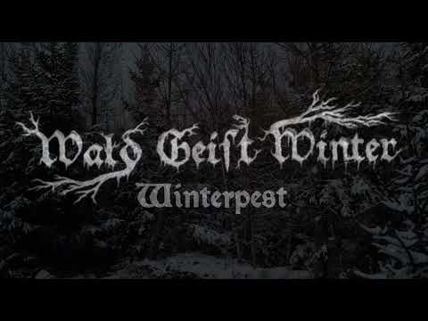 WALD GEIST WINTER -  Winterpest
