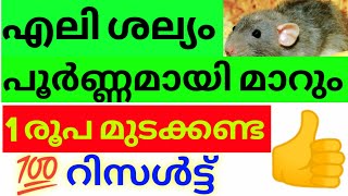 Home remedies for rat in malayalam/Get rid of rat from home/Rat problem in car solution/Rat problem