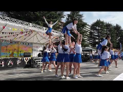 動画のタイトルなど