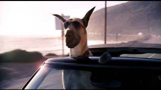 Marmaduke Film Trailer