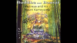 Oliver Shanti - Buddha and Bonsai