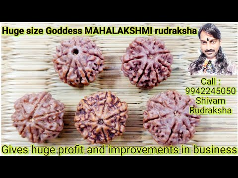 Huge size Goddess MAHALAKSHMI rudraksha.