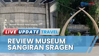 Review Terbaru Museum Manusia Purba Sangiran 2023, Wisata Edukasi Keliling dan Sejarah di Sragen