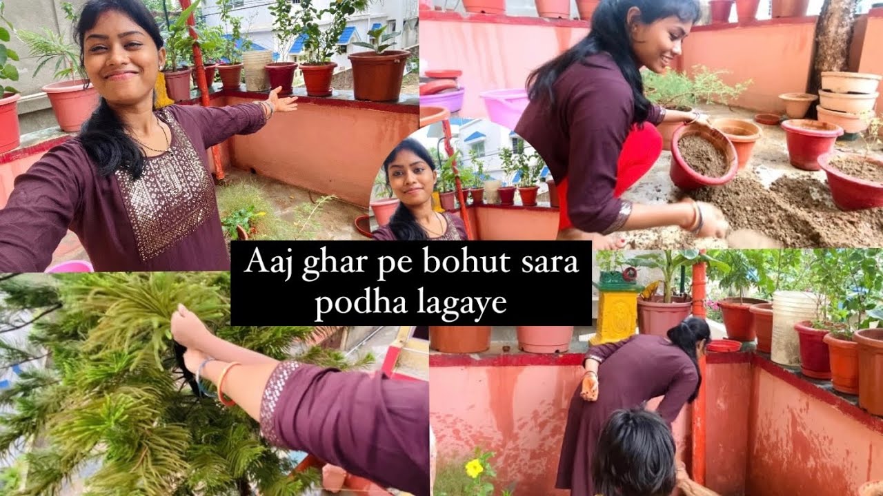 Aj Ghar Pe Bahut Saara Paudha Lagaye 🪴 || आज घर पे बहुत सारा पेड़ लगायें 🪴||