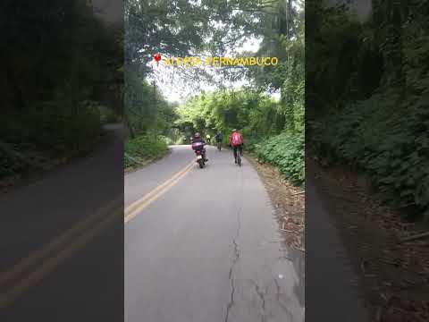 ESTRADA DE ALDEIA PERNAMBUCO #mata #floresta #paisagem #passeio #pedal #shorts