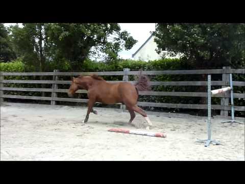 Ogano Sitte par Sissi de vie, 3 ans