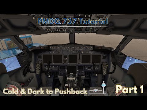 PMDG 737 Tutorial Series | Part 1: Cold & Dark Startup | Microsoft Flight Simulator