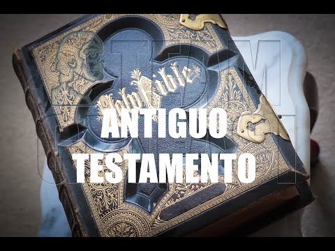 20-ES Ana, 14º #CicloInvestigación 1.er protocolo: #AntiguoTestamento - Karina Mariñas #CG Academy