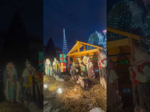 圣诞节日期（12月25日）的 由来：这个日期是在耶稣诞生数百年后才被教会确立。选择12月25日与当时罗马帝国流行的异教节日，如冬至节（庆祝太阳神的生日）和农神节有关，旨在将这些节日基督教化。