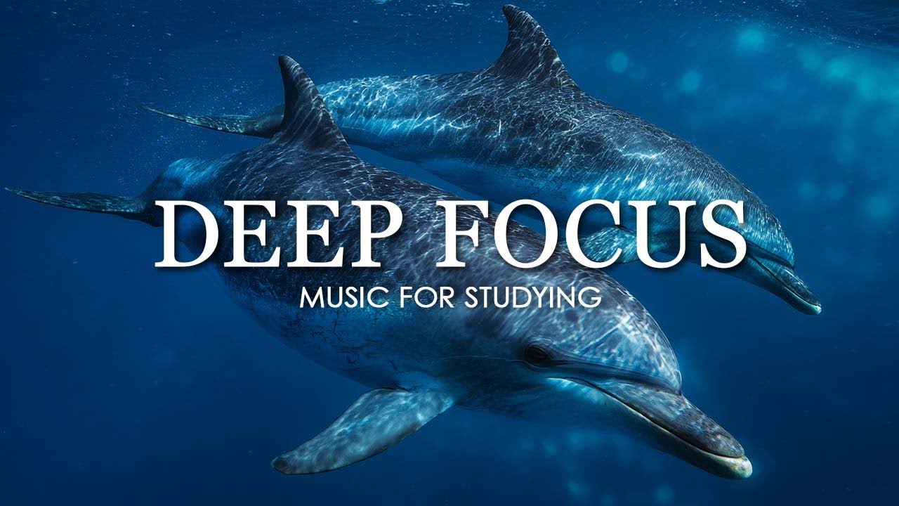 Deep Focus Music To Improve Concentration - 12 Hours of Ambient Study Music to Concentrate #918