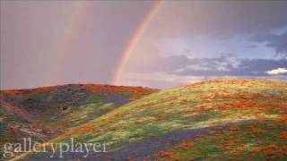 Tommy Edwards - Baby Let Me Take You Dreaming - 1956 rare MGM single