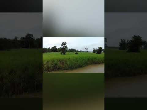 Atalaia do Norte. Amazonas