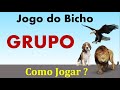 Grupo Como Jogar No Grupo Jogo Do Bicho