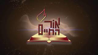 ביאורים על פרשת השבוע - פרשת ויקהל-פקודי תשפ"ו (מוסדות אור החיים) - התמונה מוצגת ישירות מתוך אתר האינטרנט יוטיוב. זכויות היוצרים בתמונה שייכות ליוצרה. קישור קרדיט למקור התוכן נמצא בתוך דף הסרטון