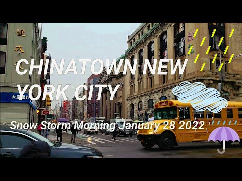 ❄ 🌨 NYC Snowy Chinatown Morning of Nor'easter Snow Storm Bomb Cyclone New York City Jan 28 2022 🌨 ☃️