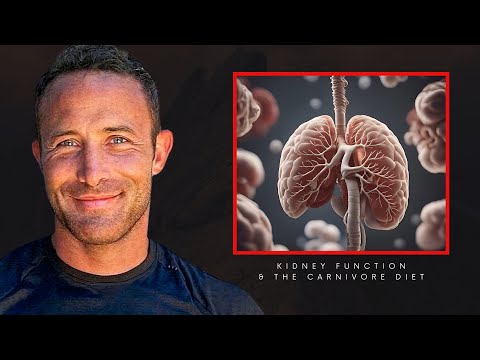 🔴 Can A Meat-Based Diet Improve KIDNEY Function? 👉