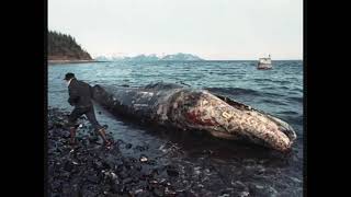 Rodney Crowell   &quot;It&#39;s a different world now&quot;