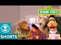 Sesame Street In Bert S Book