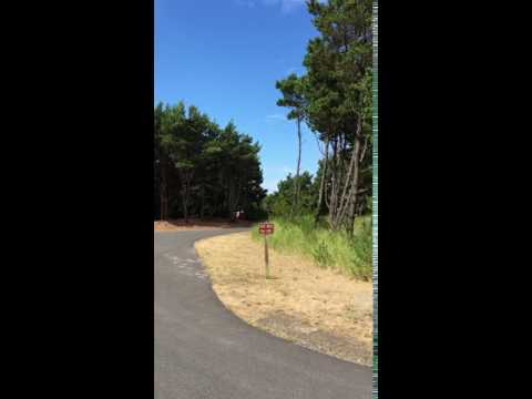 A look into a loop and back to bathrooms on main road of camp