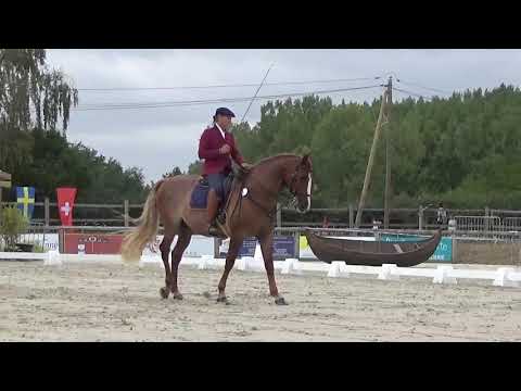 World Championship Working Equitation 2022 in les Herbiers dressage test Riedo Carene on FIERO LV CO