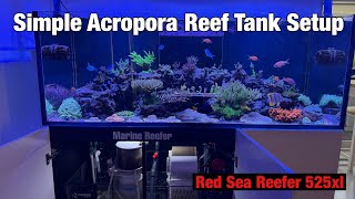 Simple Acropora Reef Tank Setup | Red Sea Reefer