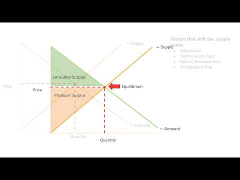 Supply and Demand Econ Bites Project