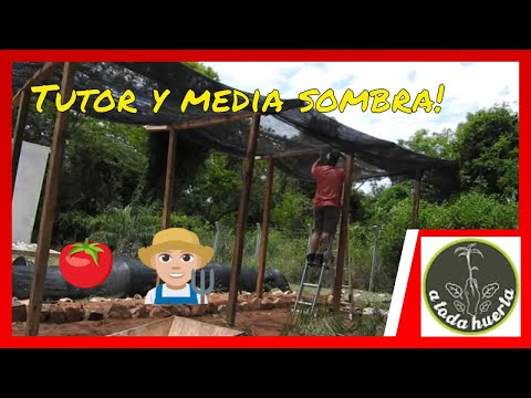 , title : 'Media sombra y tutores economicos para los tomates! Pasamos los tomates a tierra'