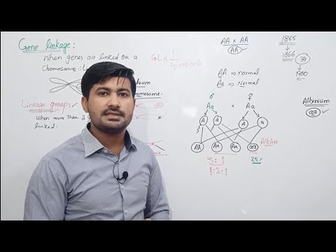 22.5 Gene linkage and crossing over | linkage group | Biology 12 class