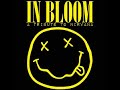 Nirvana In Bloom Lyrics
