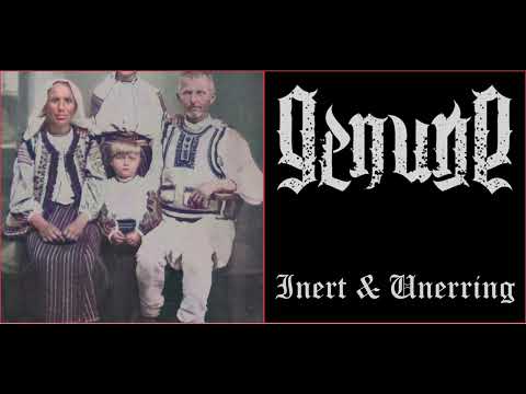 💀 Genune - Inert & Unerring (2021) [Full Album] 💀