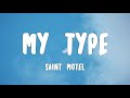 My Type Saint Motel Lyrics Pop Song