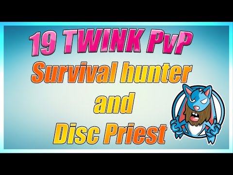 WoW Legion 7.3.5 Low Level PvP (Level 10-19 Survival Hunter) | WSG DOMINATION!