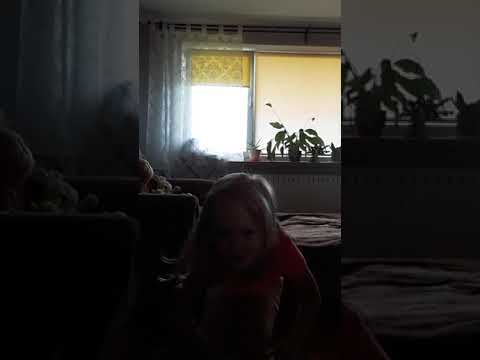 dance like a gabby cat 🐱