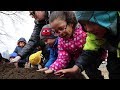 Rosehill Pre K Community Garden
