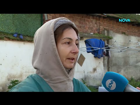 Отглежда 500 кучета | Жоро Игнатов | 25 януари 2026