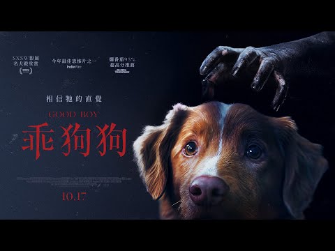 10.17《乖狗狗》相信牠的直覺 🍅 爛番茄新鮮度95%超好評 🐾 影評盛讚年度最佳恐怖片