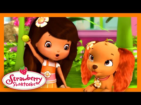 Puppy Fetch! 🍊 Strawberry Shortcake 🍊 Orange Blossom Compilation 🍊 Full Episodes - Kids TV Series, Kingdom Kids Zone - Strawberry Shortcake - WildBrain