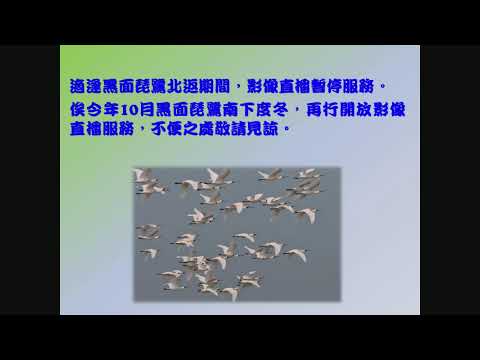 北汕尾水鳥生態保護區