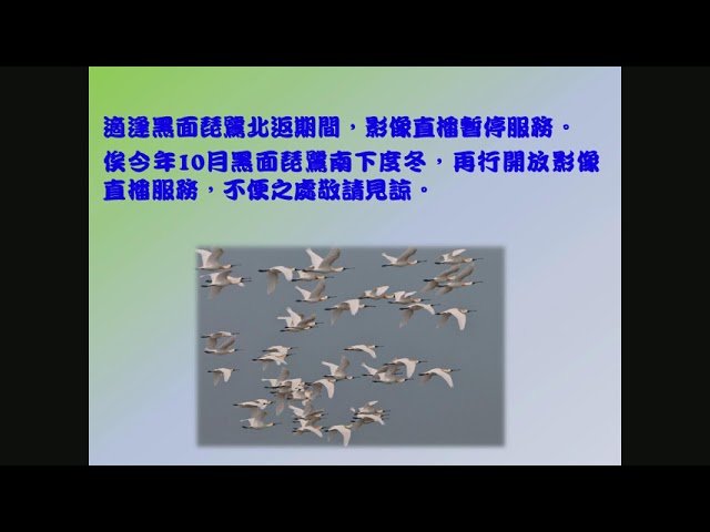 【台江】台江國家公園線上直播 - 北汕尾水鳥生態保護區影像 cctv 監視器 即時交通資訊 【台江】台江國家公園線上直播 - 北汕尾水鳥生態保護區影像 cctv 監視器 即時交通資訊