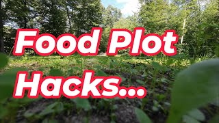 Build the Perfect Food Plot for Trophy Bucks