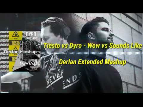 Tiësto vs Dyro - Wow vs Sounds Like (Derlan Extended Mashup)