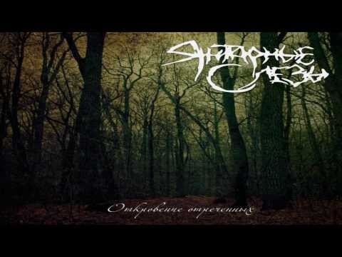 Amber Tears  - Revelation Of Renounced (re​-​release) Full Album