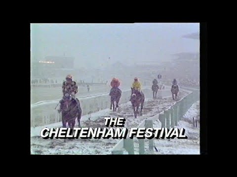 Cheltenham Festival Horses and Heroes